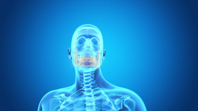 medical animation - painful jaw bone
