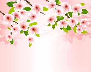 Obraz na płótnie Canvas Nature background with blossoming sakura brunch. Vector illustra