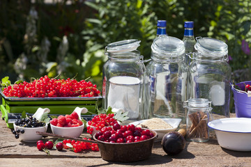 Zutaten für selbstgemachten Fruchtlikör