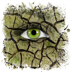 cracked mud texture or pattern on face with green eye