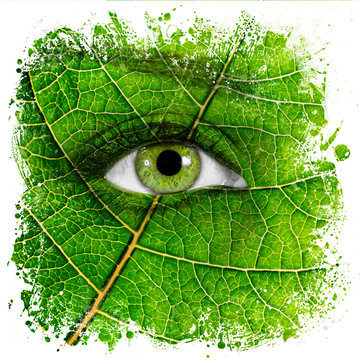 Face With Leaf Texture And Green Eye. Ecology Concept