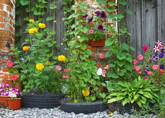 Fototapeta na wymiar flowerbed with bright colors