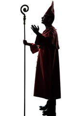 man cardinal bishop silhouette saluting blessing