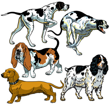 Set With Hunting Dogs