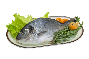 Raw dorado