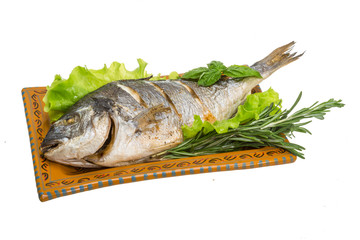Grilled dorada