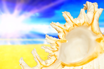 Obraz premium sunny beach