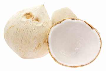 Coconut fruit