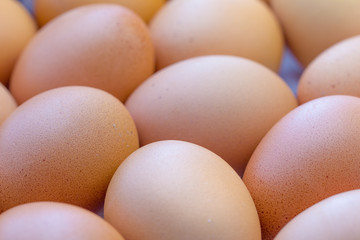 Eggs