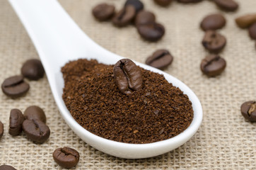 coffee bean on ground