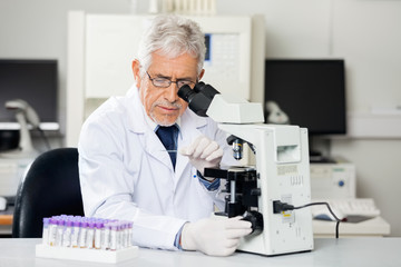 Researcher Examining Microscope Slide In Lab