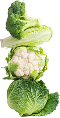 Fresh vegetables