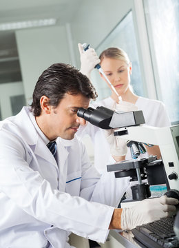 Male Scientist Using Microscope In Lab
