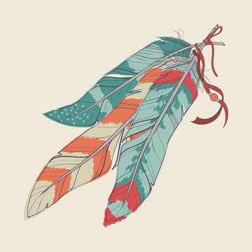 Vector illustration of decorative feathers