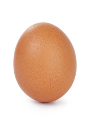 single brown chicken egg