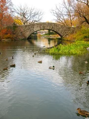 Central Park: Gapstow bridge, and its beautiful colors in Autumn