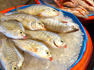 Fresh fish