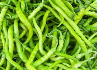 group of organic green pepper
