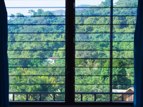 Fototapeta Window to nature