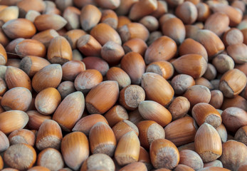 background of disorderly numerous ripe brown shelled nuts