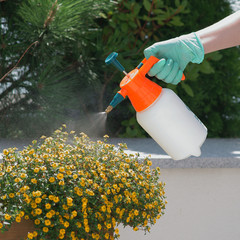 Spraying plants on a terrace - obrazy, fototapety, plakaty