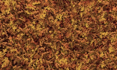 3d illustration of broken fall leaves on the ground