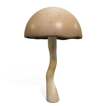 3d illustration of a mushroom