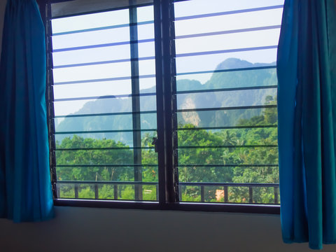 Fototapeta Window to nature
