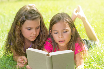 Zwei Kinder im Gras lesen Buch