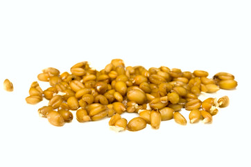 sprouted grains