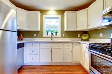 White and olive bright kitchen room