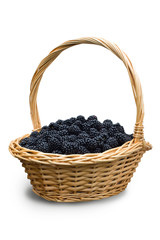 Fototapeta na wymiar Blackberries in the basket