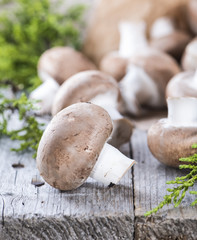 Heap of fresh Mushrooms