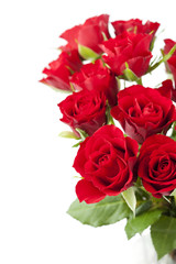 Bouquet of red roses on white background