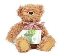 Bear toy with money