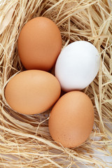 Eier im Stroh