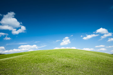 Green meadow and the blue sky