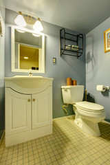 Small blue and white bathroom