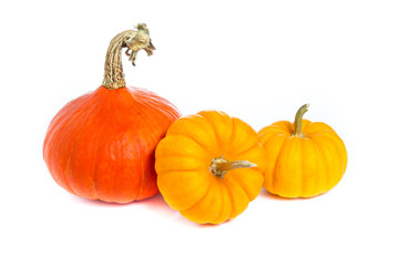 Isolated pumpkins