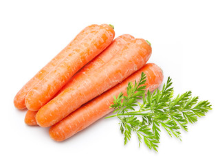 Carrot isolated on white background