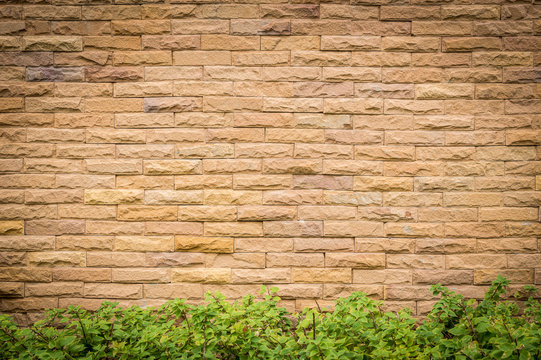 Background resolution of brick wall texture. © toodlingstudio