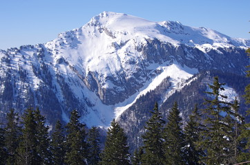 Fototapeta na wymiar chartreuse - montagne du grand som