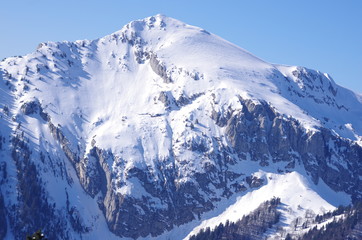 Fototapeta na wymiar chartreuse - montagne du grand som