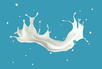 Milk splash isolated on blue background.