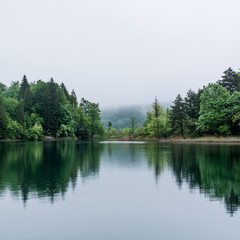 Misty lake