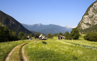 Fototapeta na wymiar Alpine valley in Slovenia, Bohinj