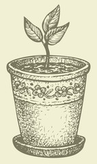 Fototapeta premium Vector monochrome drawing. Sprout in a pot