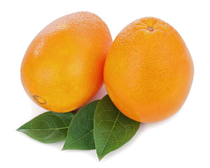 Orange fruits with green leaves isolated on white background.