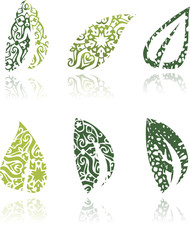 Set of oranmental leafs illustration