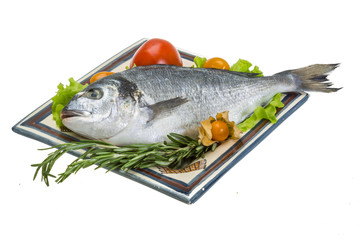 Raw dorado